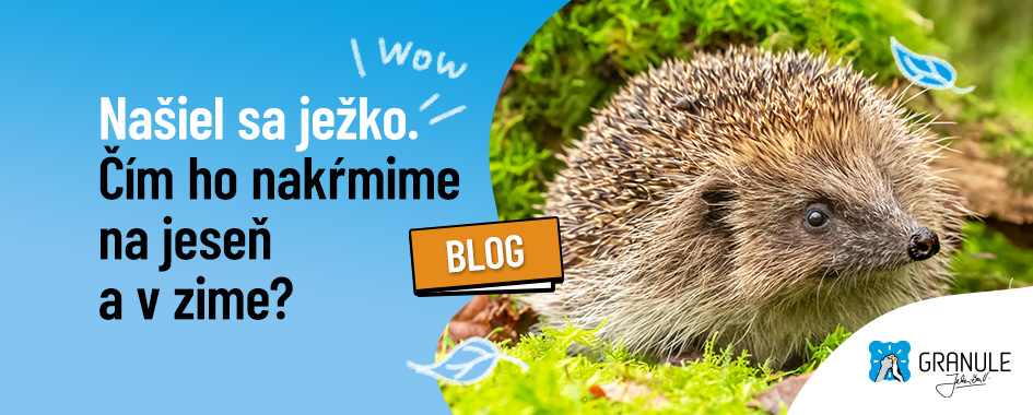web_945x380_blog_2024_jezci_SK[1]